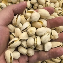 开心果电商货现货