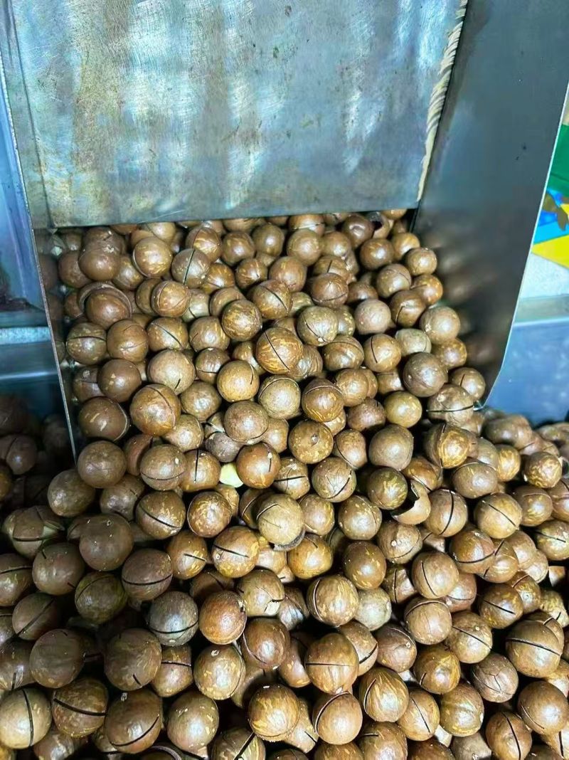 夏威夷果厂家直销，专业一件代发，欢迎实地考察。