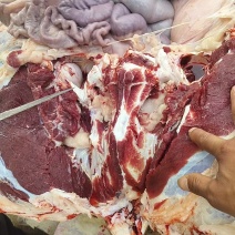 淮安盱眙仇集黄牛肉