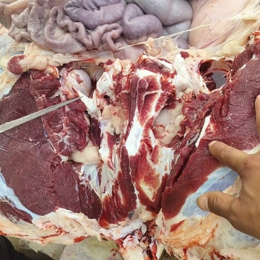 淮安盱眙仇集黄牛肉