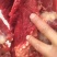淮安盱眙仇集黄牛肉