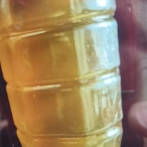 正宗山里面的冬至蜜糖