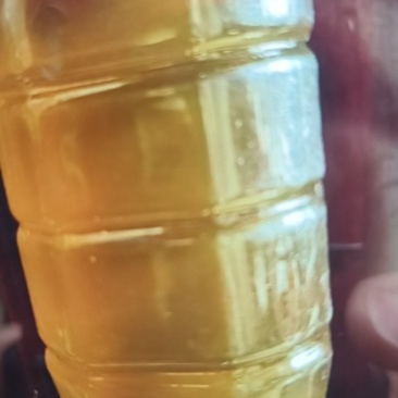 正宗山里面的冬至蜜糖