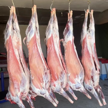 羊肉