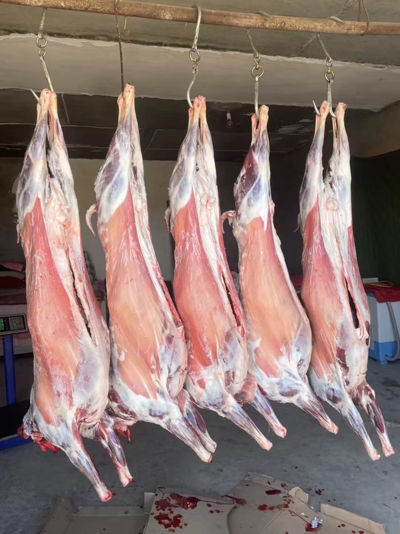 羊肉