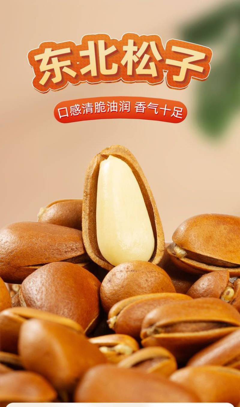 新化东北松大颗粒松子支持电商一件代发批量拿货