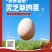 散养富硒灵芝草鸡和草鸡蛋，以健康为初心，为你的健康保驾复航