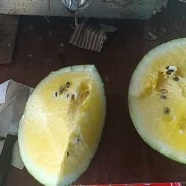 海南陵水惠兰西瓜