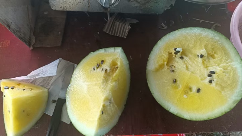 海南陵水惠兰西瓜