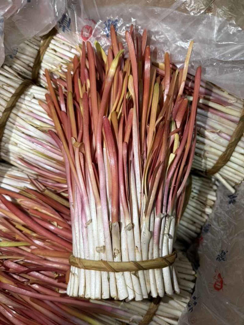 正宗大金勾红韭菜，自己种植，原产地。