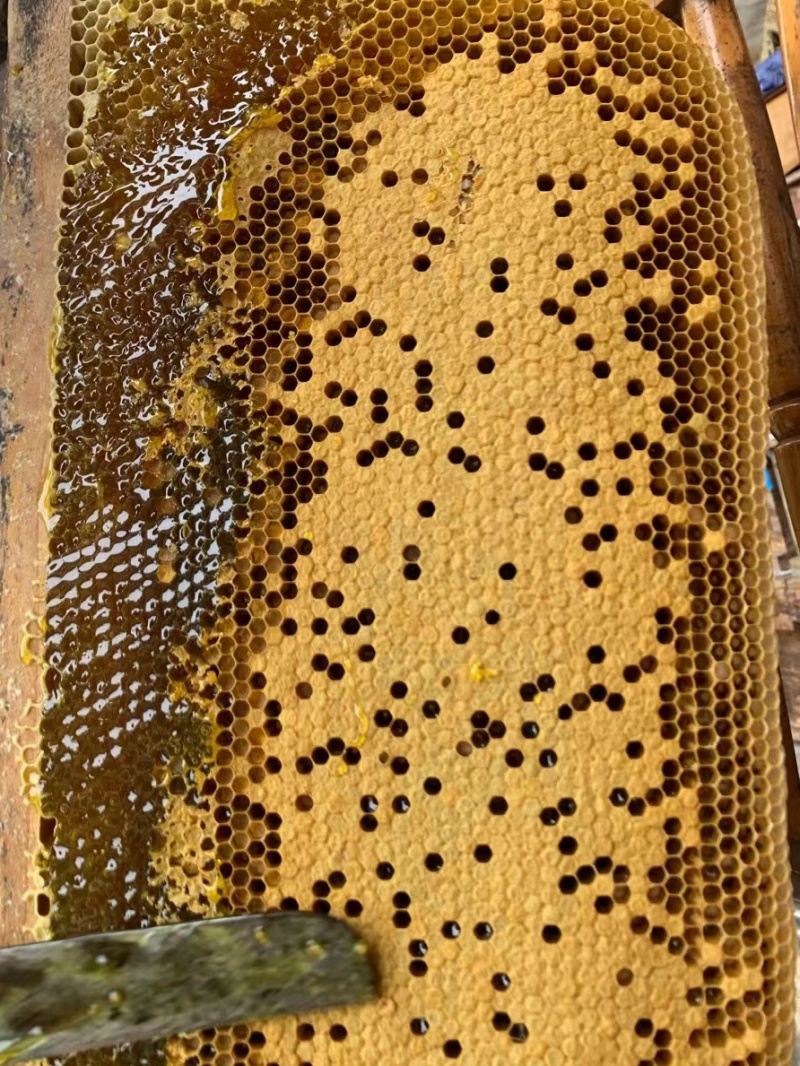 天然土蜂蜜