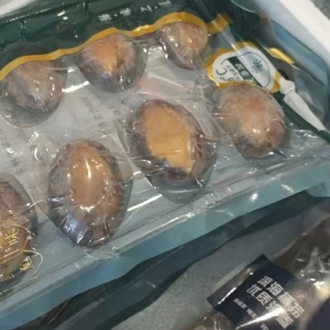 威海鲍鱼