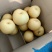 秋月梨