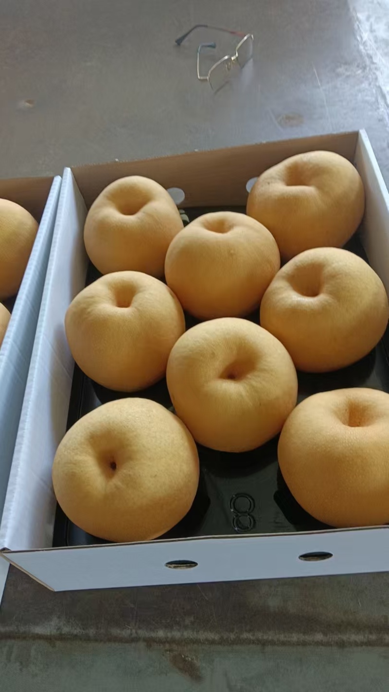 秋月梨