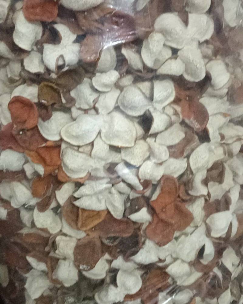 广西浦北陈皮