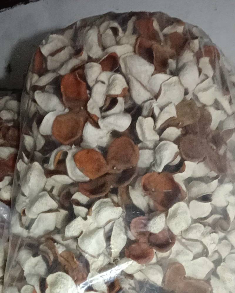 广西浦北陈皮