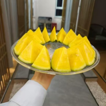 甘肃小黄壤西瓜