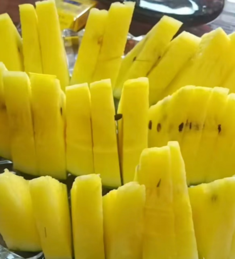 甘肃小黄壤西瓜