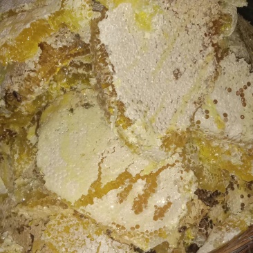 正宗土蜂蜜