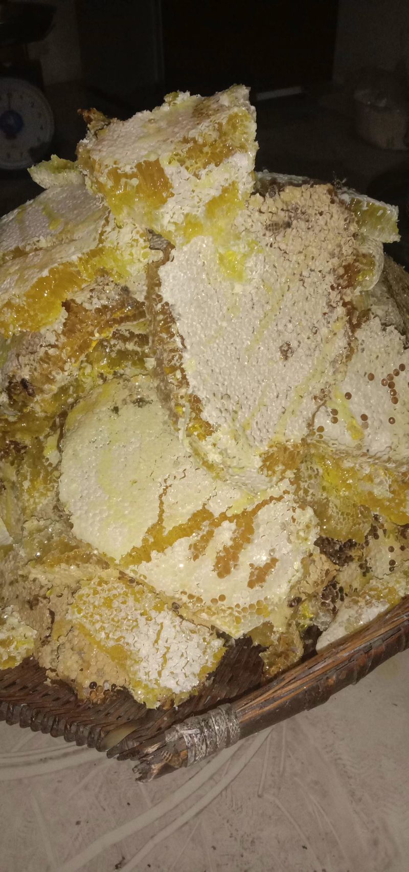 正宗土蜂蜜