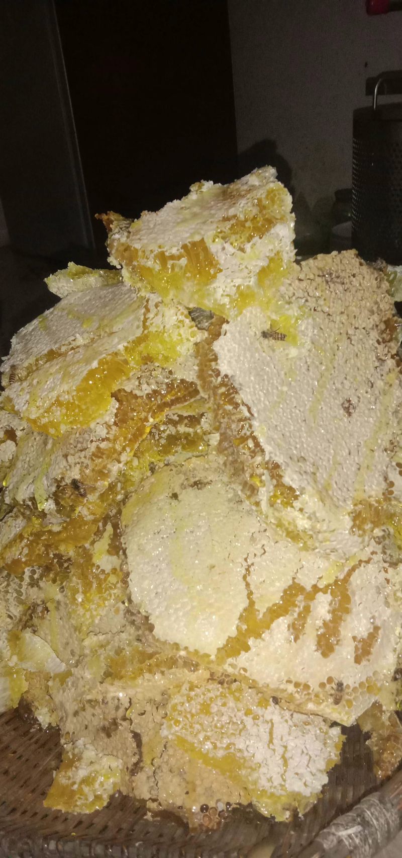 正宗土蜂蜜