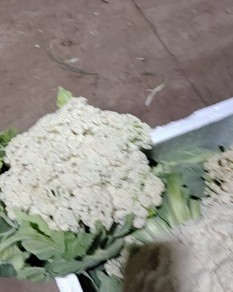 自松花