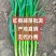 产地直批发，上车价格