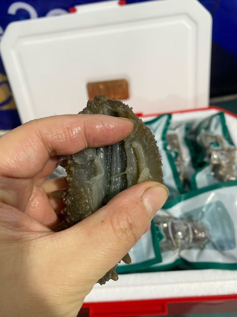 威海即食海参礼盒，286，满满一礼盒