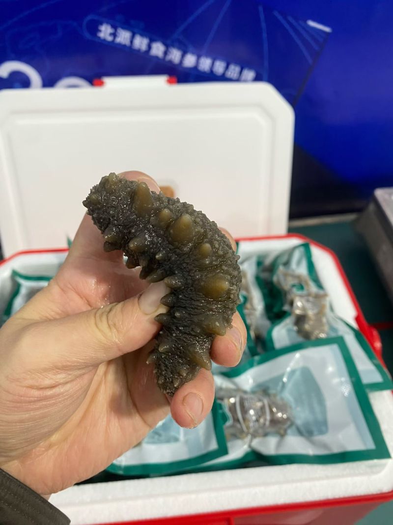 威海即食海参礼盒，286，满满一礼盒
