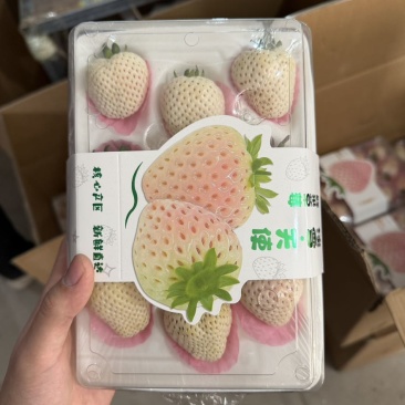 白草莓胶盒9到15粒双拼三拼应有尽有