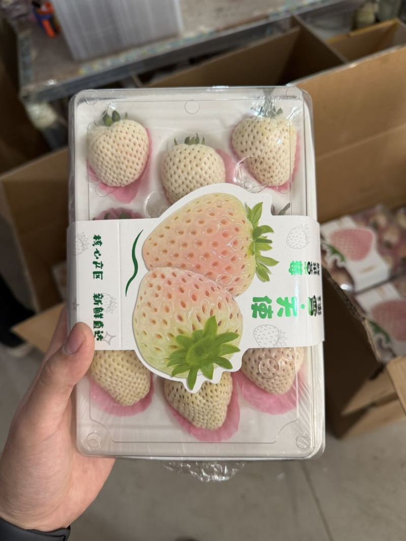 白草莓胶盒9到15粒双拼三拼应有尽有