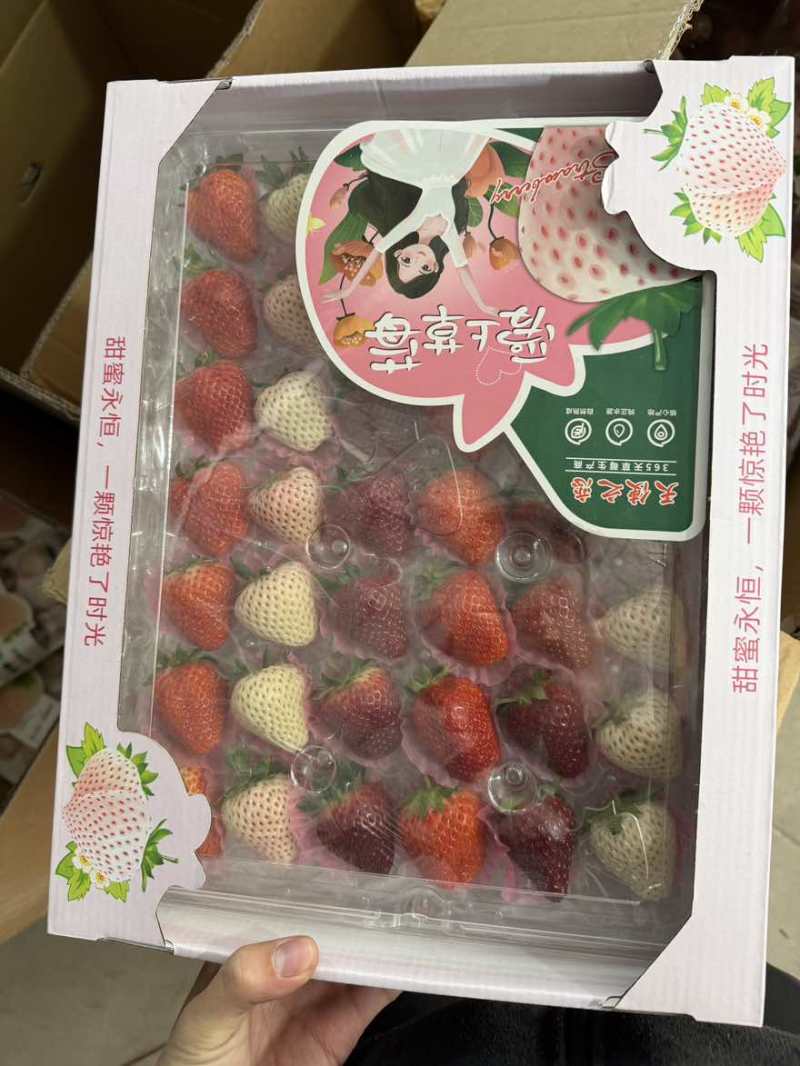 白草莓胶盒9到15粒双拼三拼应有尽有