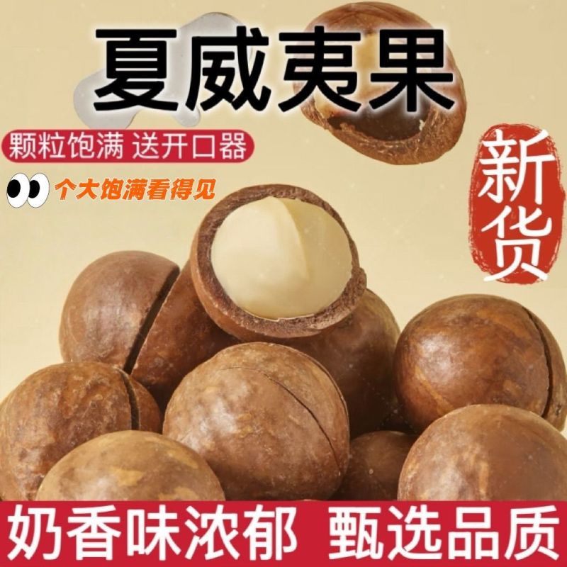 夏威夷果大量现货电商代发新果