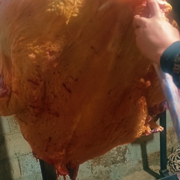 清真小黄牛肉