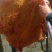 清真小黄牛肉