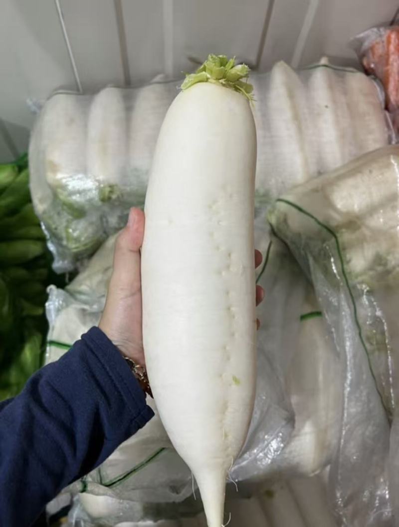 白萝卜