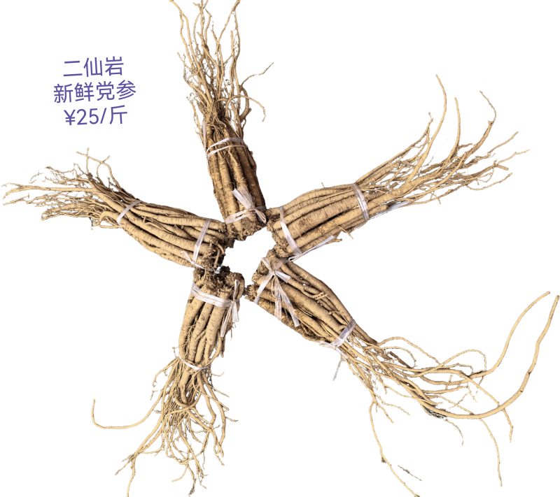 二仙岩新鲜党参