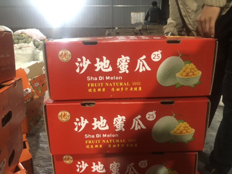 沙地晓蜜二级瓜