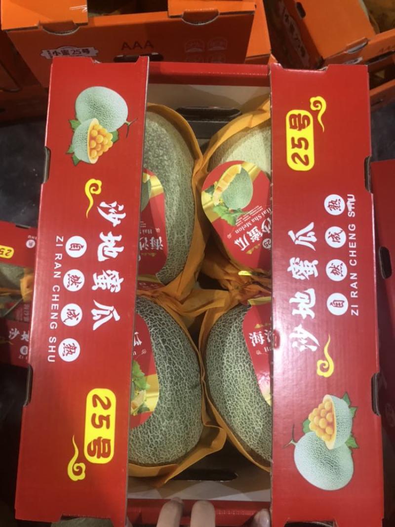 沙地晓蜜二级瓜