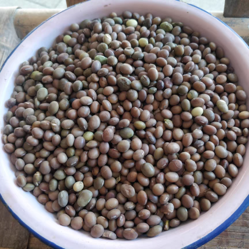 黄豆老品种麻黄豆农村自种土黄豆，磨豆浆做豆腐酱豆专用