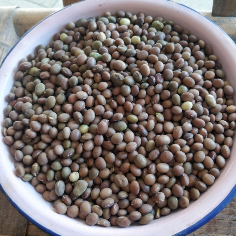 黄豆老品种麻黄豆农村自种土黄豆，磨豆浆做豆腐酱豆专用
