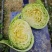 豫艺水果包菜2.5-3.5斤每棵