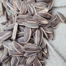 特价年货生熟瓜子中等货地摊推荐