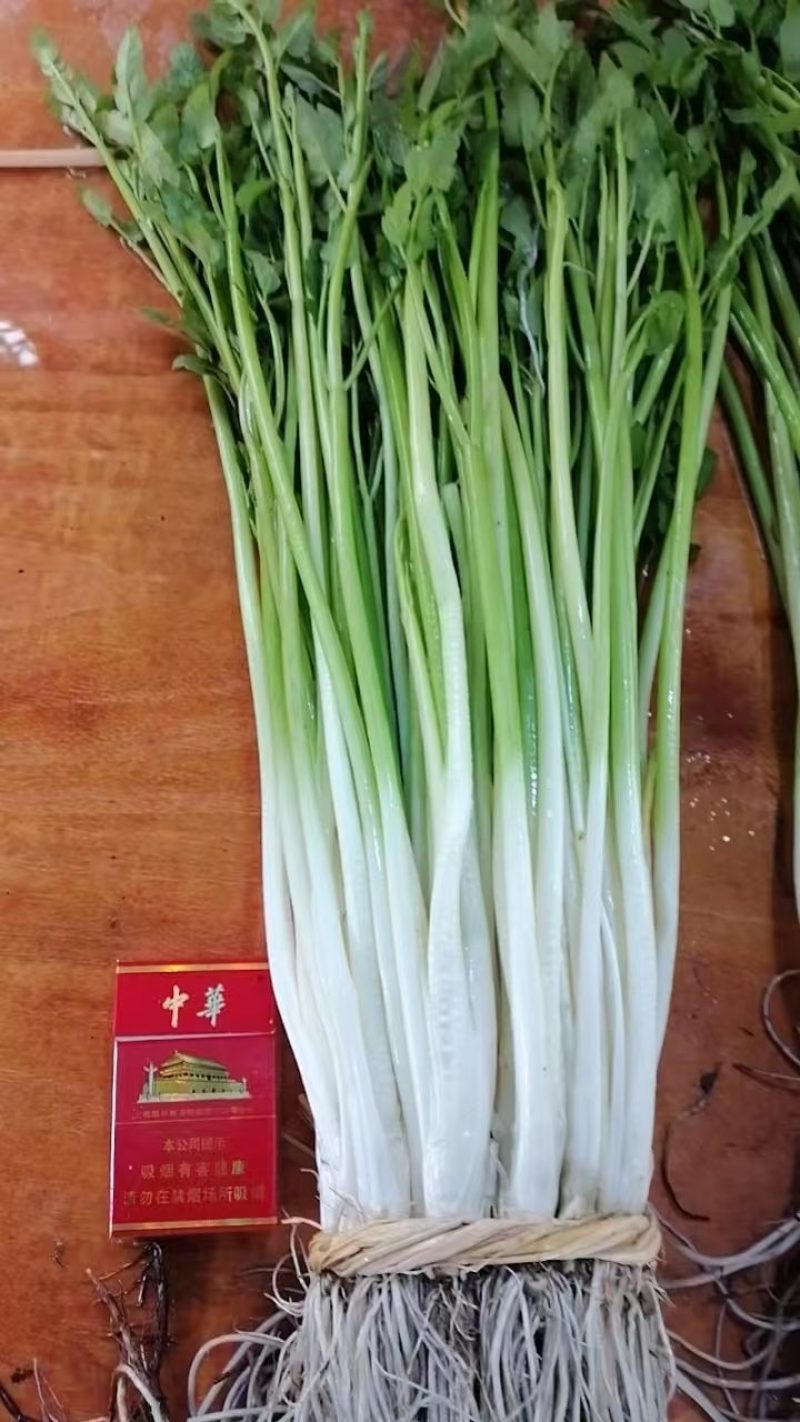 水芹菜