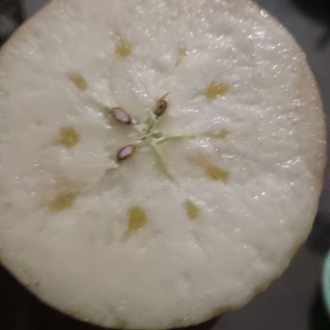山西运城临猗苹果梨桃水果甜柿子