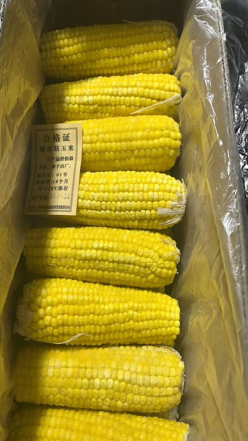 黑龙江冻黏玉米