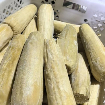 黑龙江冻黏玉米