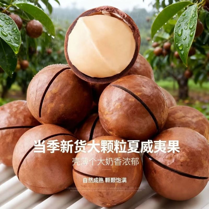 新货夏威夷果大颗粒奶香味支持电商一件代发批量拿货。