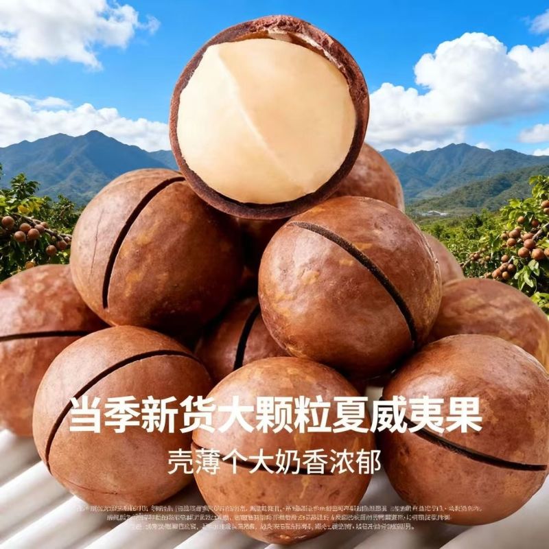 新货夏威夷果大颗粒奶香味支持电商一件代发批量拿货。