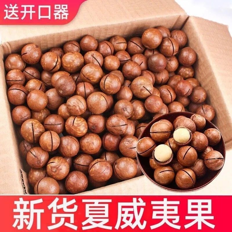 新货夏威夷果大颗粒奶香味支持电商一件代发批量拿货。